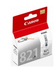 Canon Ink Cartridge CLI-821 Grey