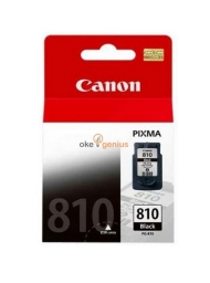 Canon Ink Cartridge PG-810 Black