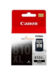 Canon Ink Cartridge PG-810 Black - XL