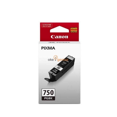 Canon Ink Cartridge PGI-750 Black