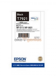 Black STD [C13T792190]