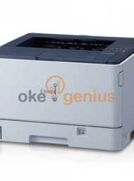 Canon Laser Printer LBP8100N (A3)