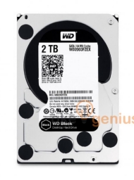 Caviar Black 2TB [WD2003FZEX]