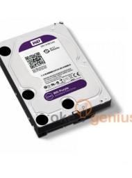 WD Purple 1 Tb [WD10PURZ]