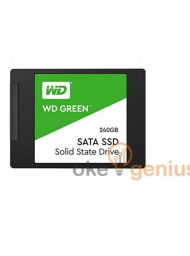 SSD Green 240 GB [WDS240G2G0A]