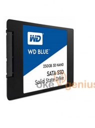 SSD BLUE 250 GB [WDS250G2B0A]