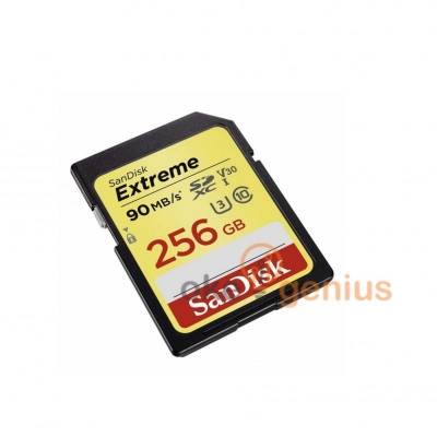 Extreme SDHC 256GB