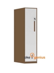 Locker 1 Door Single Coloumn Short