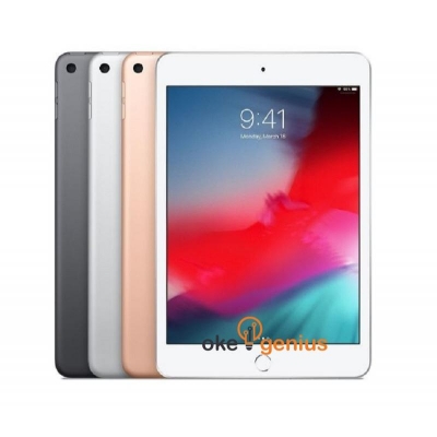 iPad Mini 5 Wi-Fi 256GB - Space Grey [MUU32PA/A]