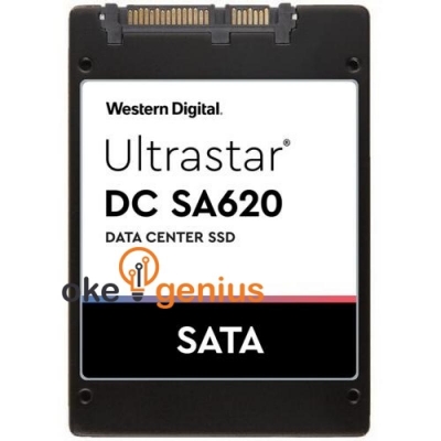 ULTRASTAR DC SA620 [0TS1820]