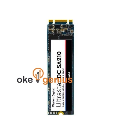 ULTRASTAR DC SA210 [0TS1654]