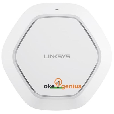 LAPN300-AP ACCESS POINT