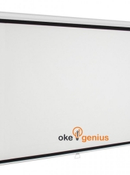 Manual Screen 300x300 cm / 120