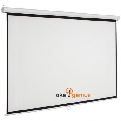 Manual Screen 218x290 cm / 150