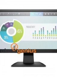 P204v 19.5-inch Monitor (5RD66AA)