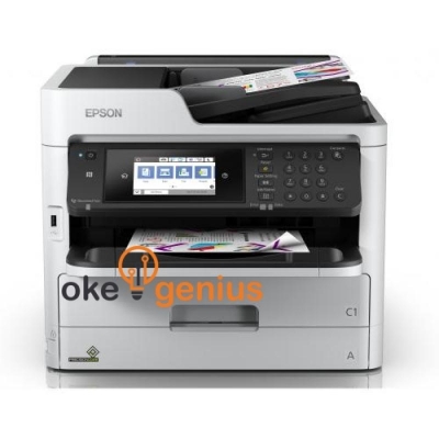 Printer WF-C5790