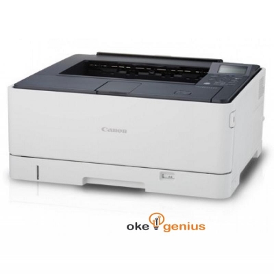 Printer LBP8780x
