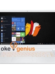 ConceptD CN515-51 [NX.C4JSN.002] (i7-8705G, , 16GB, 512GB SSD, Win 10 Pro)