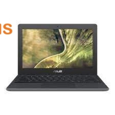Asus Chromebook C204MA-BU1431 TOUCH